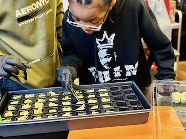 Close up of female student monitoring seedlings